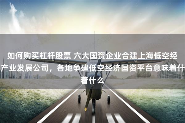 如何购买杠杆股票 六大国资企业合建上海低空经济产业发展公司，各地争建低空经济国资平台意味着什么