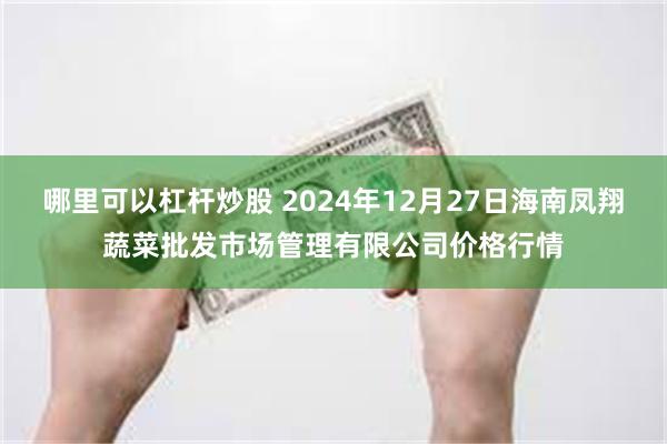 哪里可以杠杆炒股 2024年12月27日海南凤翔蔬菜批发市场管理有限公司价格行情