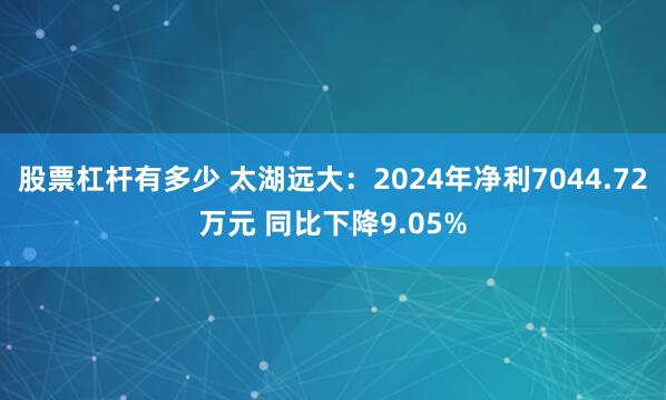 股票杠杆有多少 太湖远大：2024年净利7044.72万元 同比下降9.05%