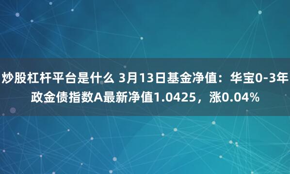 炒股杠杆平台是什么 3月13日基金净值：华宝0-3年政金债指数A最新净值1.0425，涨0.04%