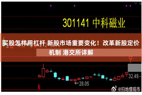 买股怎样用杠杆 新股市场重要变化!改革新股定价机制 港交所详解